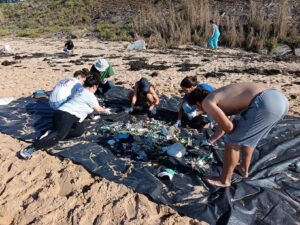 Limpeza Na Praia De Mera