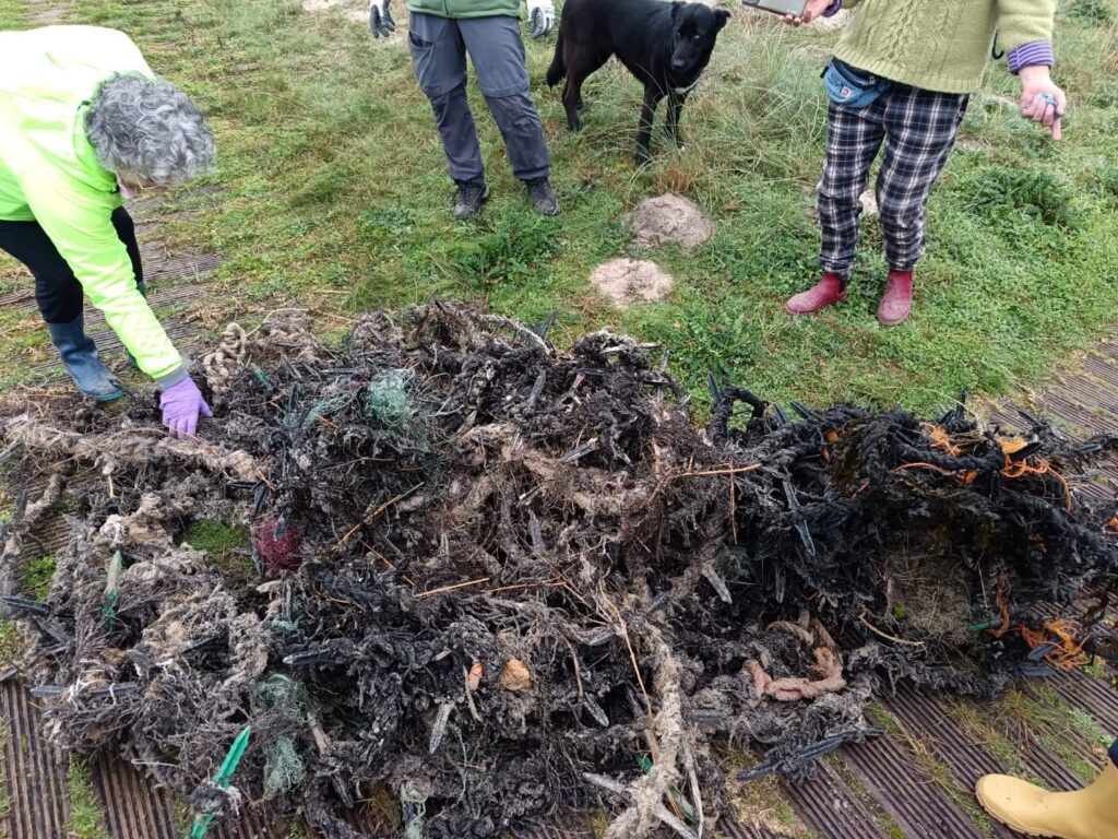 Limpeza Na Praia Dos Muíños En Muxía 00002