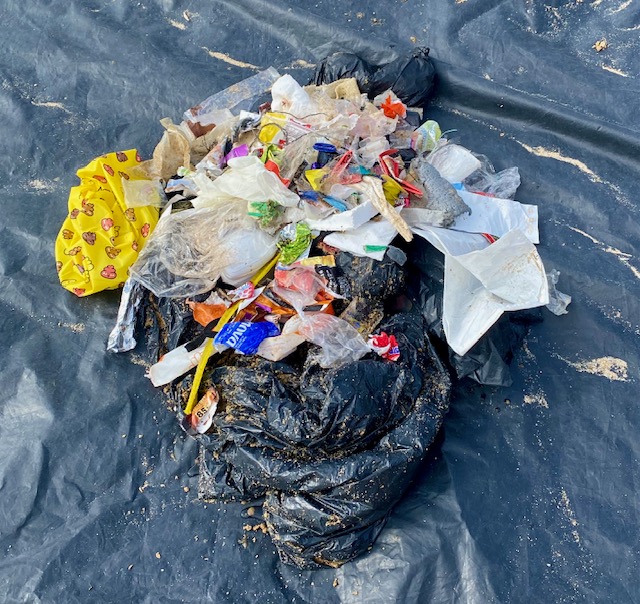 Proxecto entre crebas. 4ª limpeza de lixo mariño na praia de san amaro en colaboración co cis e aspronaga. 30 abril 2025 00002