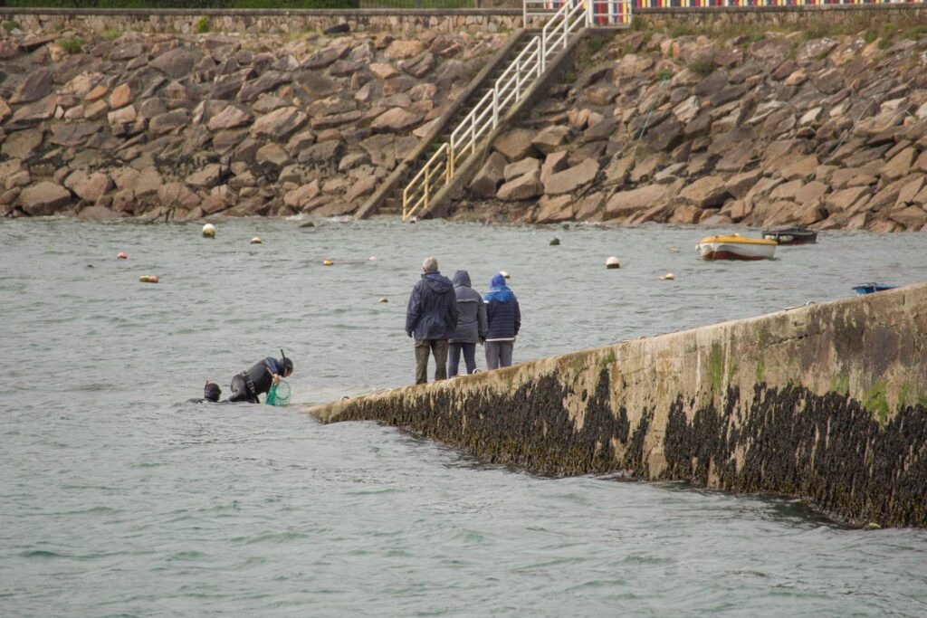Limpeza dos fondos do Porto de Camelle
