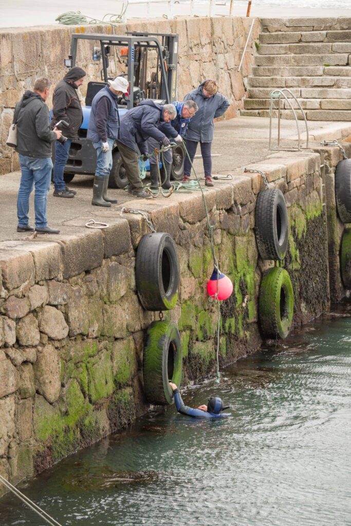 Limpeza dos fondos do Porto de Camelle
